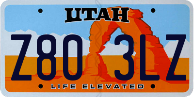 UT license plate Z803LZ
