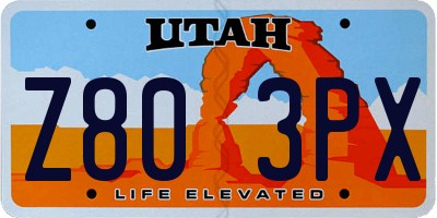 UT license plate Z803PX