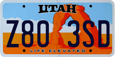 UT license plate Z803SD