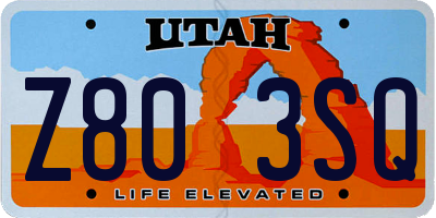 UT license plate Z803SQ