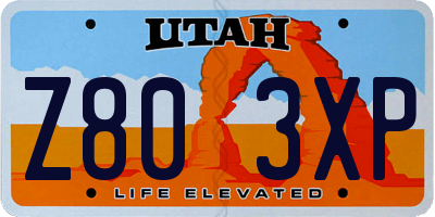 UT license plate Z803XP