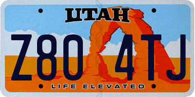 UT license plate Z804TJ