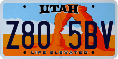 UT license plate Z805BV