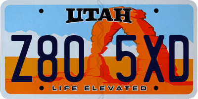 UT license plate Z805XD