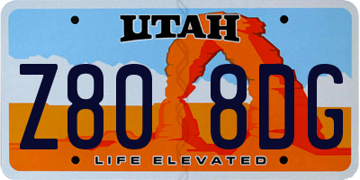 UT license plate Z808DG