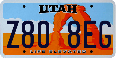 UT license plate Z808EG