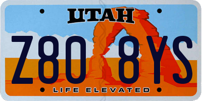 UT license plate Z808YS