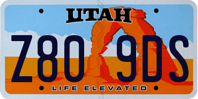 UT license plate Z809DS