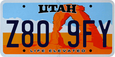 UT license plate Z809FY