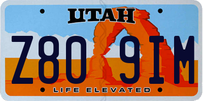 UT license plate Z809IM