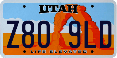 UT license plate Z809LD
