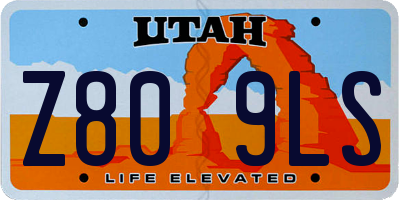 UT license plate Z809LS