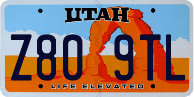 UT license plate Z809TL