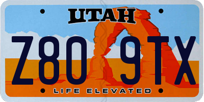 UT license plate Z809TX