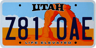 UT license plate Z810AE