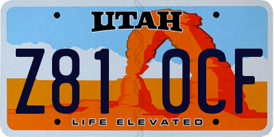 UT license plate Z810CF