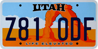 UT license plate Z810DF