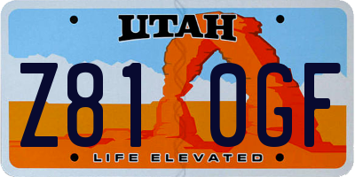 UT license plate Z810GF