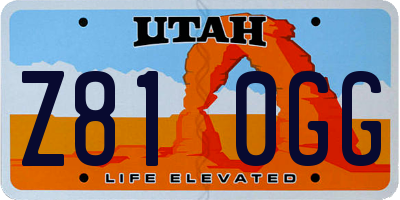 UT license plate Z810GG