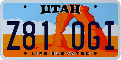 UT license plate Z810GI