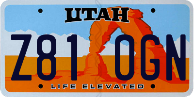 UT license plate Z810GN
