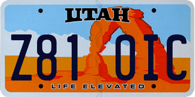 UT license plate Z810IC