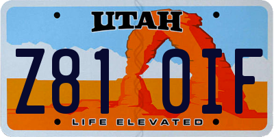 UT license plate Z810IF