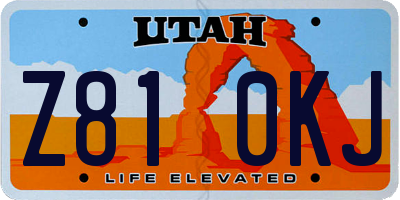 UT license plate Z810KJ