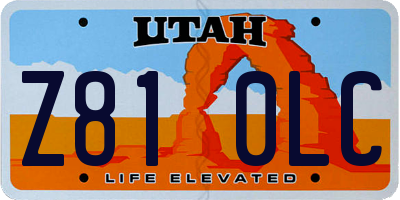 UT license plate Z810LC
