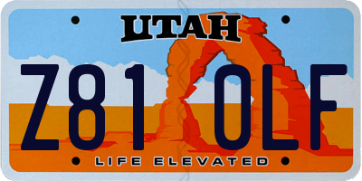 UT license plate Z810LF