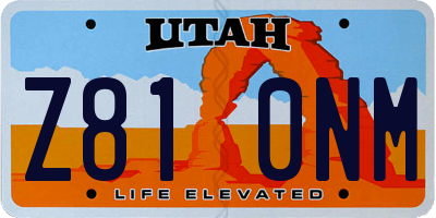UT license plate Z810NM