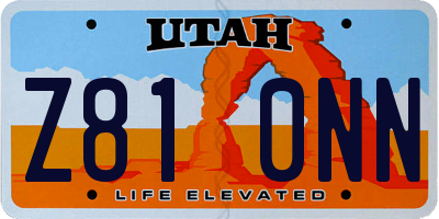 UT license plate Z810NN
