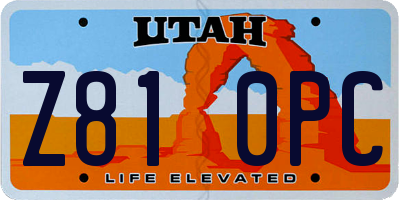 UT license plate Z810PC