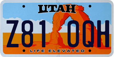 UT license plate Z810QH