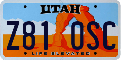UT license plate Z810SC