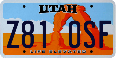 UT license plate Z810SF