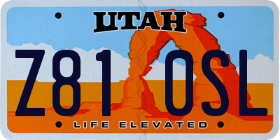 UT license plate Z810SL