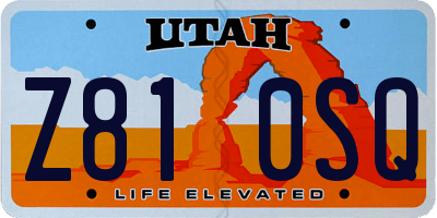UT license plate Z810SQ