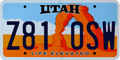 UT license plate Z810SW