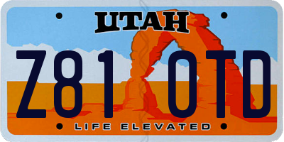 UT license plate Z810TD