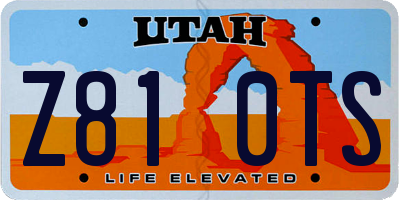 UT license plate Z810TS