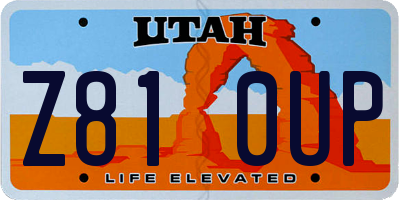 UT license plate Z810UP
