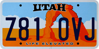 UT license plate Z810VJ
