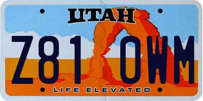 UT license plate Z810WM