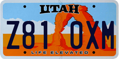 UT license plate Z810XM