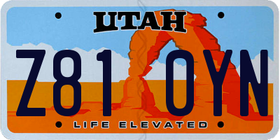 UT license plate Z810YN