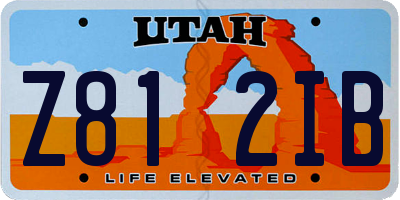 UT license plate Z812IB