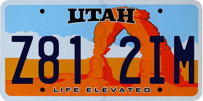 UT license plate Z812IM