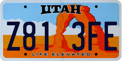 UT license plate Z813FE