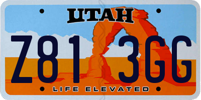 UT license plate Z813GG